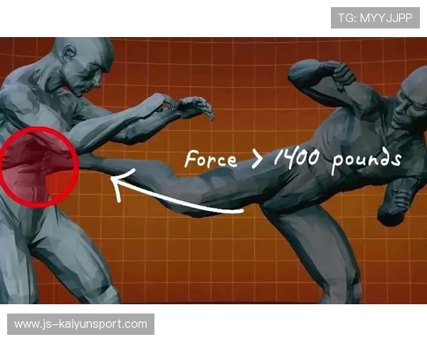 UFC巅峰之战：一记转身后踢神技，瞬间终结对手的精彩瞬间